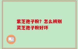 紫芝孢子粉？怎么辨别灵芝孢子粉好坏
