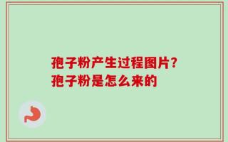 孢子粉产生过程图片？孢子粉是怎么来的