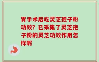 胃手术后吃灵芝孢子粉功效？已采集了灵芝孢子粉的灵芝功效作用怎样呢