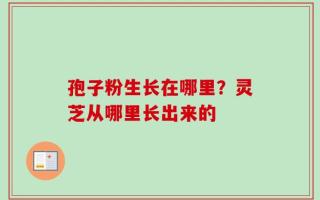 孢子粉生长在哪里？灵芝从哪里长出来的