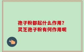 孢子粉都起什么作用？灵芝孢子粉有何作用呢
