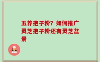 五养孢子粉？如何推广灵芝孢子粉还有灵芝盆景