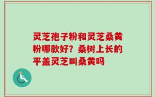 灵芝孢子粉和灵芝桑黄粉哪款好？桑树上长的平盖灵芝叫桑黄吗