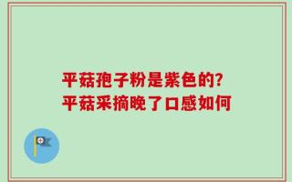 平菇孢子粉是紫色的？平菇采摘晚了口感如何