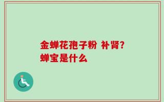 金蝉花孢子粉 补肾？蝉宝是什么