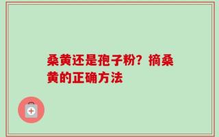 桑黄还是孢子粉？摘桑黄的正确方法