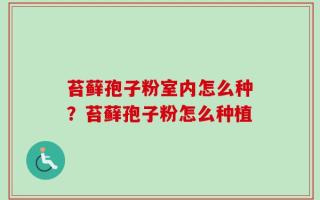 苔藓孢子粉室内怎么种？苔藓孢子粉怎么种植