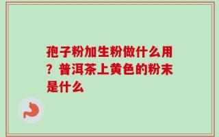 孢子粉加生粉做什么用？普洱茶上黄色的粉末是什么