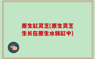 原生缸灵芝(原生灵芝生长在原生水族缸中)