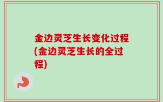 金边灵芝生长变化过程(金边灵芝生长的全过程)