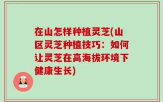 在山怎样种植灵芝(山区灵芝种植技巧：如何让灵芝在高海拔环境下健康生长)