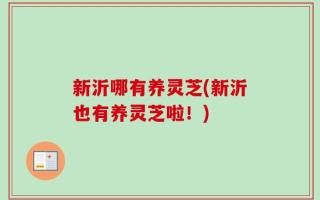 新沂哪有养灵芝(新沂也有养灵芝啦！)