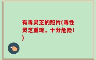 有毒灵芝的照片(毒性灵芝重现，十分危险！)