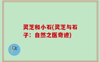 灵芝和小石(灵芝与石子：自然之医奇迹)