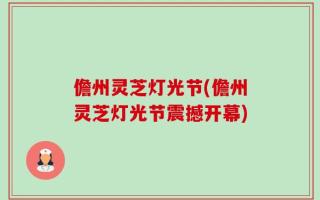 儋州灵芝灯光节(儋州灵芝灯光节震撼开幕)