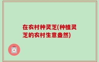 在农村种灵芝(种植灵芝的农村生意盎然)