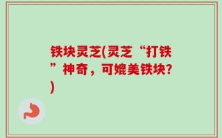 铁块灵芝(灵芝“打铁”神奇，可媲美铁块？)