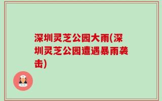 深圳灵芝公园大雨(深圳灵芝公园遭遇暴雨袭击)