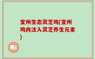宜州生态灵芝鸡(宜州鸡肉注入灵芝养生元素)