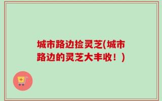 城市路边捡灵芝(城市路边的灵芝大丰收！)