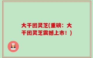 大干团灵芝(重磅：大干团灵芝震撼上市！)