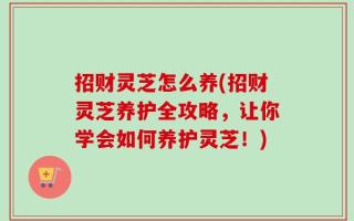 招财灵芝怎么养(招财灵芝养护全攻略，让你学会如何养护灵芝！)