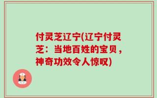 付灵芝辽宁(辽宁付灵芝：当地百姓的宝贝，神奇功效令人惊叹)