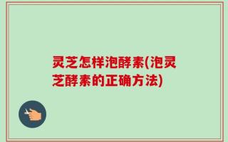 灵芝怎样泡酵素(泡灵芝酵素的正确方法)