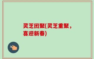灵芝团聚(灵芝重聚，喜迎新春)