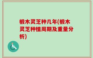椴木灵芝种几年(椴木灵芝种植周期及重量分析)