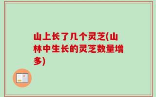 山上长了几个灵芝(山林中生长的灵芝数量增多)