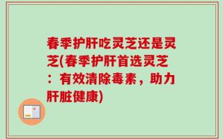 春季护肝吃灵芝还是灵芝(春季护肝首选灵芝：有效清除毒素，助力肝脏健康)