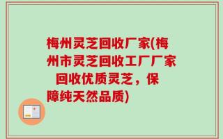 梅州灵芝回收厂家(梅州市灵芝回收工厂厂家  回收优质灵芝，保障纯天然品质)
