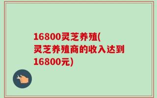 16800灵芝养殖(灵芝养殖商的收入达到16800元)