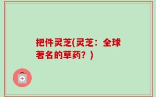 把件灵芝(灵芝：全球著名的草药？)