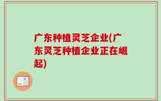 广东种植灵芝企业(广东灵芝种植企业正在崛起)
