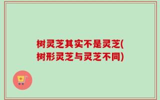 树灵芝其实不是灵芝(树形灵芝与灵芝不同)