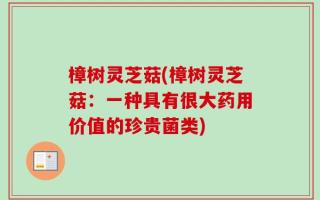 樟树灵芝菇(樟树灵芝菇：一种具有很大药用价值的珍贵菌类)