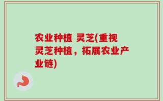 农业种植 灵芝(重视灵芝种植，拓展农业产业链)