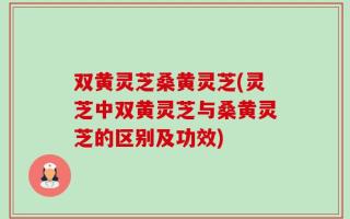 双黄灵芝桑黄灵芝(灵芝中双黄灵芝与桑黄灵芝的区别及功效)