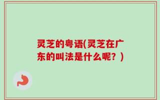 灵芝的粤语(灵芝在广东的叫法是什么呢？)