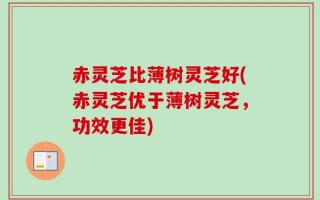 赤灵芝比薄树灵芝好(赤灵芝优于薄树灵芝，功效更佳)