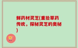 鲜药材灵芝(重拾草药传统，探秘灵芝的奥秘)
