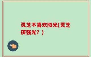 灵芝不喜欢阳光(灵芝厌强光？)