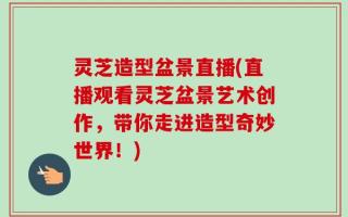灵芝造型盆景直播(直播观看灵芝盆景艺术创作，带你走进造型奇妙世界！)