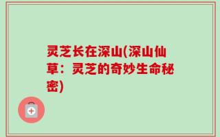 灵芝长在深山(深山仙草：灵芝的奇妙生命秘密)