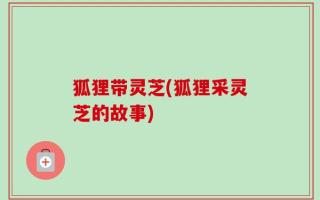 狐狸带灵芝(狐狸采灵芝的故事)