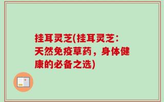 挂耳灵芝(挂耳灵芝：天然免疫草药，身体健康的必备之选)