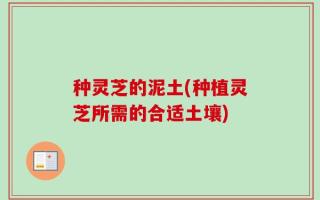 种灵芝的泥土(种植灵芝所需的合适土壤)