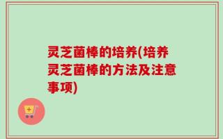 灵芝菌棒的培养(培养灵芝菌棒的方法及注意事项)